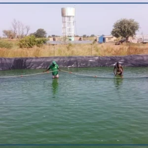Matam : le Code de l’aquaculture présenté aux professionnels de la pêche et aux investisseurs