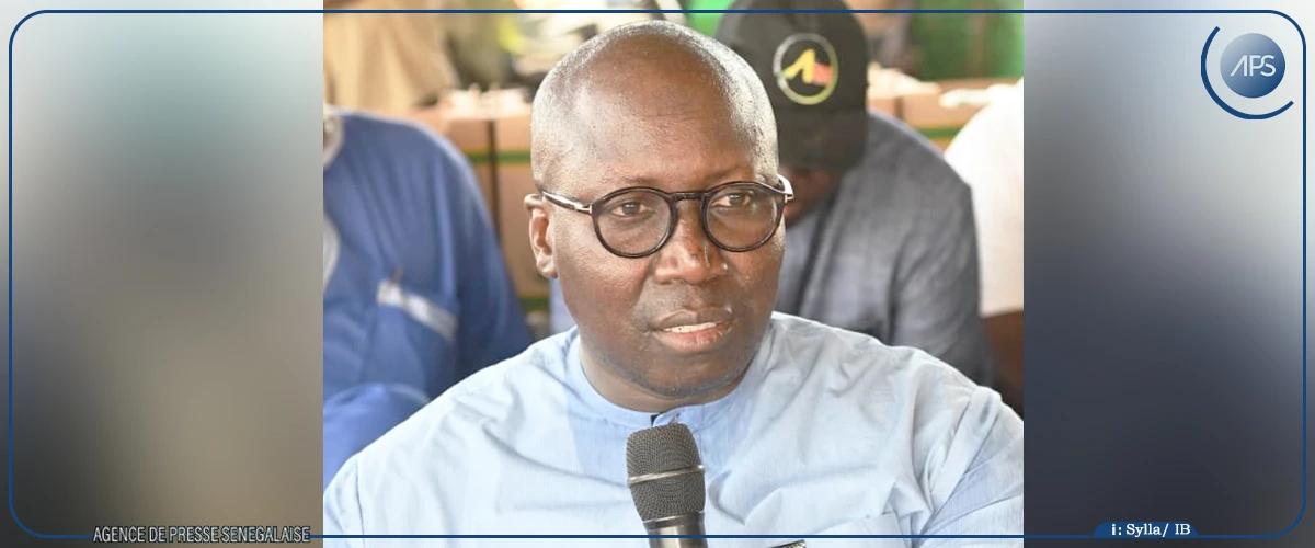 Tambacounda : les producteurs de bananes tirent un bilan satisfaisant du gel des importations