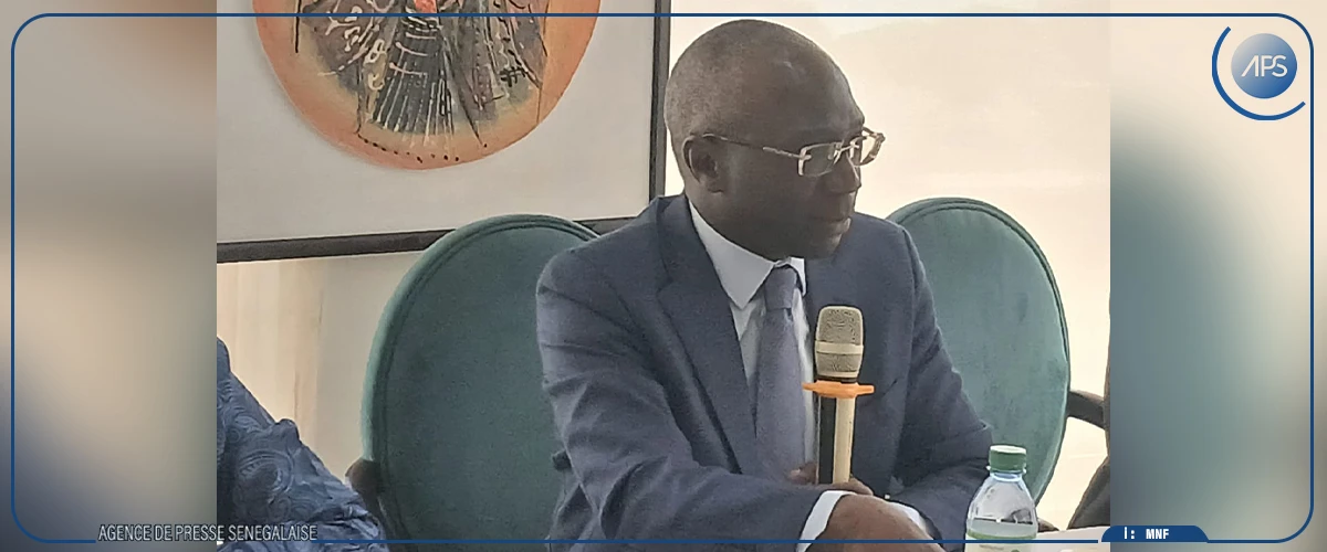 Révision de la stratégie nationale de développement de la riziculture : Mabouba Diagne fait des recommandations aux experts