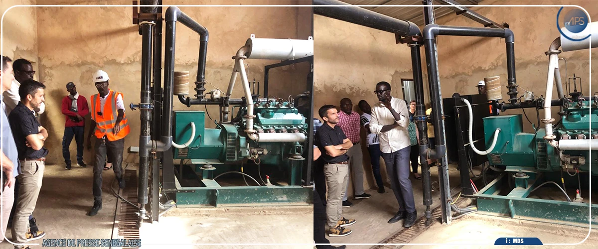 Dagana : un projet expérimente la balle de riz comme source d’énergie pour le décorticage