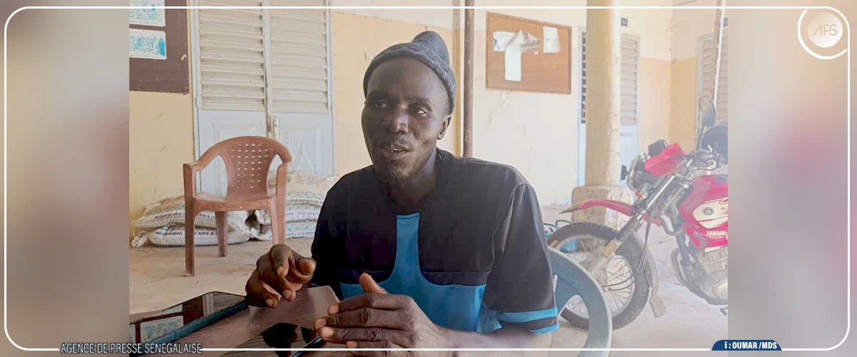 Diourbel : des rendements importants attendus, une hausse du prix de l'arachide espérée