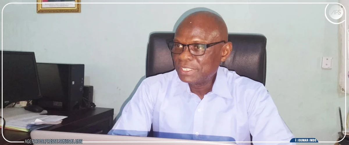 Diourbel : des rendements importants attendus, une hausse du prix de l'arachide espérée