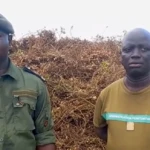 capture-d-ecran-2025-11-12-122053