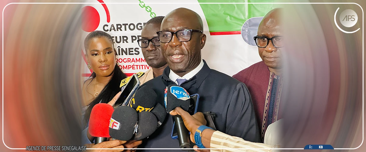 Saint-Louis : une vingtaine de filières prioritaires identifiées pour le développement du Pôle territoire Nord (consultant)