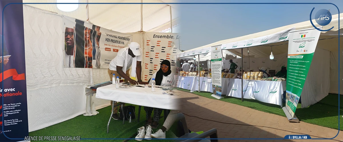 Foire régionale de l’artisanat de Tambacounda : Amadou Ba préside la cérémonie officielle et remet des équipements aux artisans