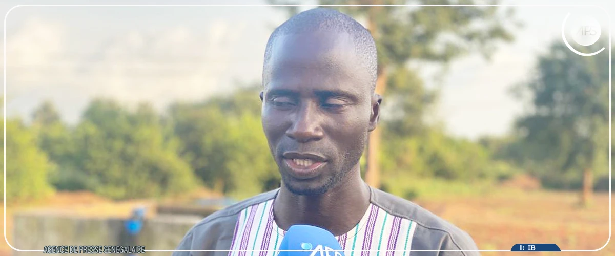 De la finance aux champs, parcours atypique d'un agripreneur de Niaguis