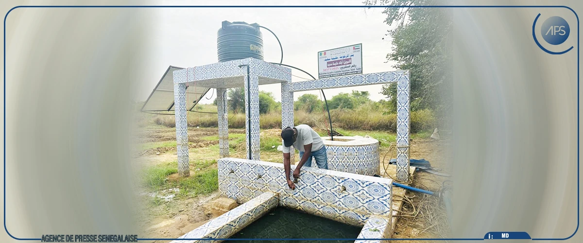 A Bakel, la résilience d'un producteur après la furie des inondations