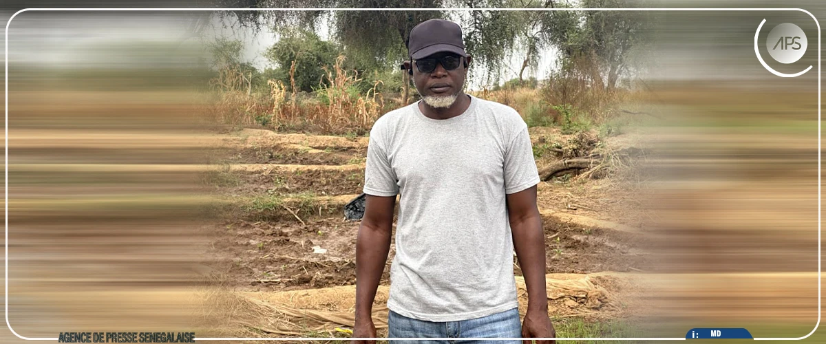 A Bakel, la résilience d’un producteur après la furie des inondations