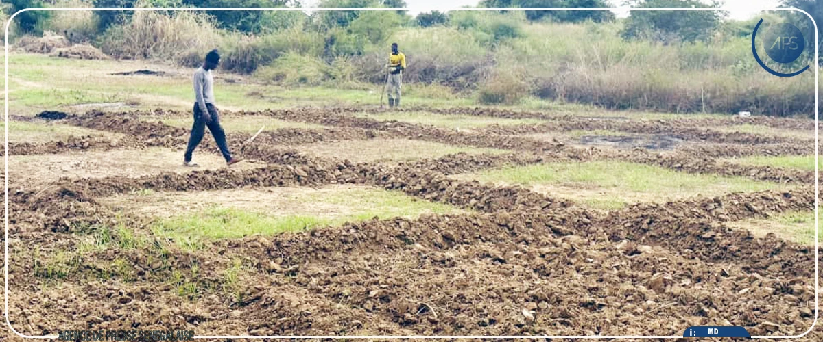 A Bakel, la résilience d'un producteur après la furie des inondations
