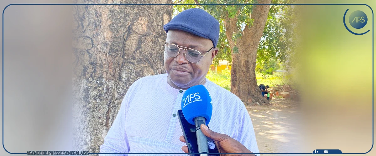 Ziguinchor : les producteurs dans l’attente de productions records, en attendant le défi de la commercialisation