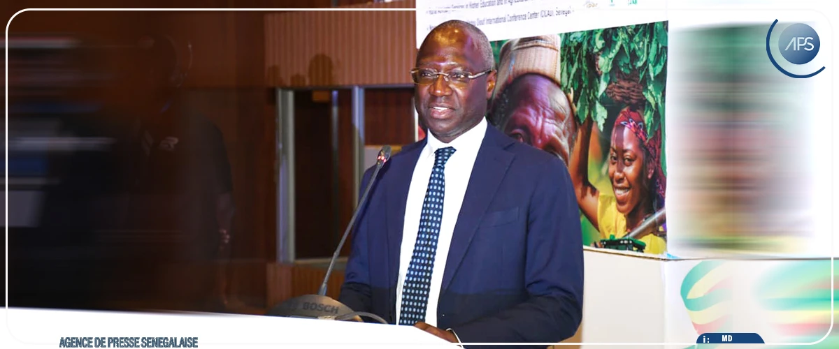 Mabouba Diagne insiste sur la technologie et l’encadrement paysans pour l’atteinte de la souveraineté alimentaire