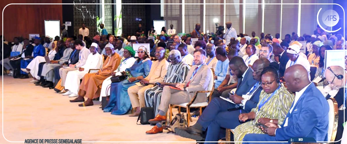 Mabouba Diagne insiste sur la technologie et l'encadrement paysans pour l'atteinte de la souveraineté alimentaire