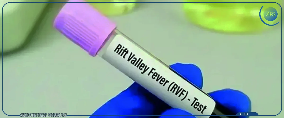 Fièvre de la vallée rift : deux cas enregistrés à Kédougou et à Salémata