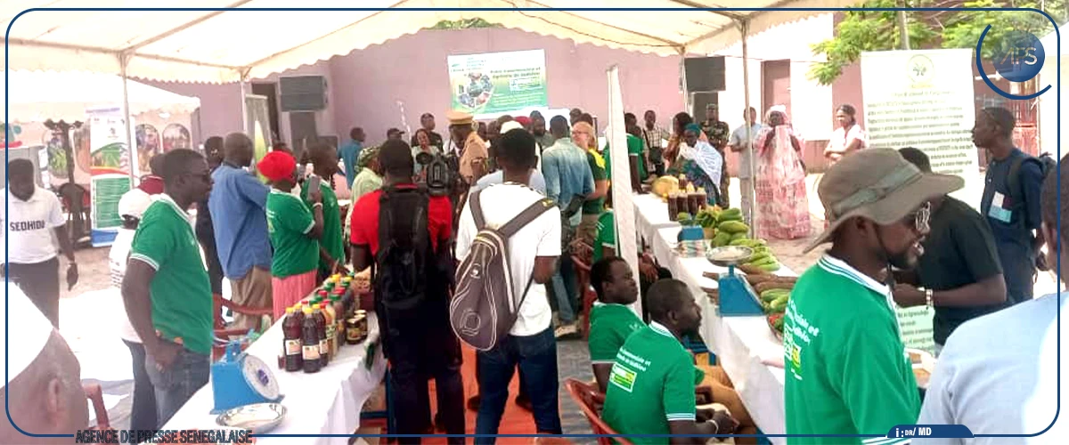 Les femmes et les jeunes à l’honneur à la 2e foire commerciale et agricole de Sédhiou