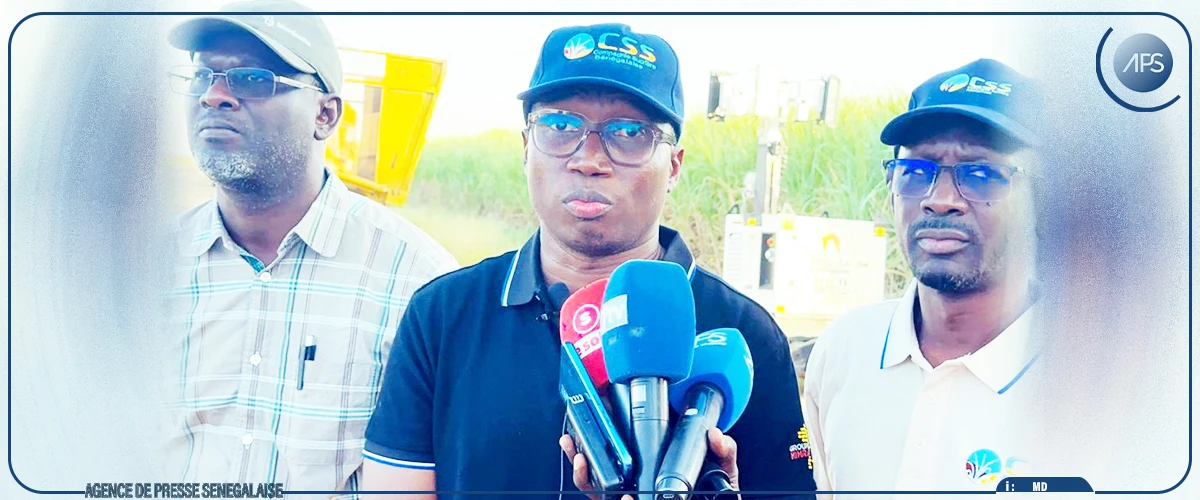 Richard-Toll : la CSS vise une production de 140 000 tonnes de sucre (directeur)