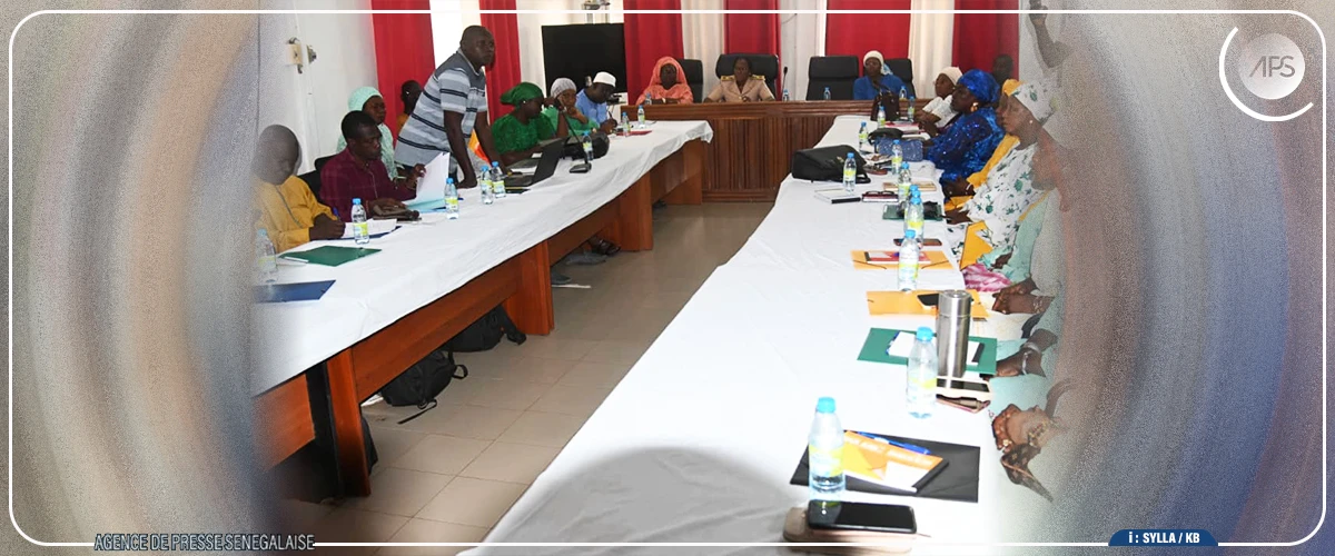 Tambacounda : une étude souligne "une bonne dynamique" des organisations féminines malgré les problèmes de formalisation