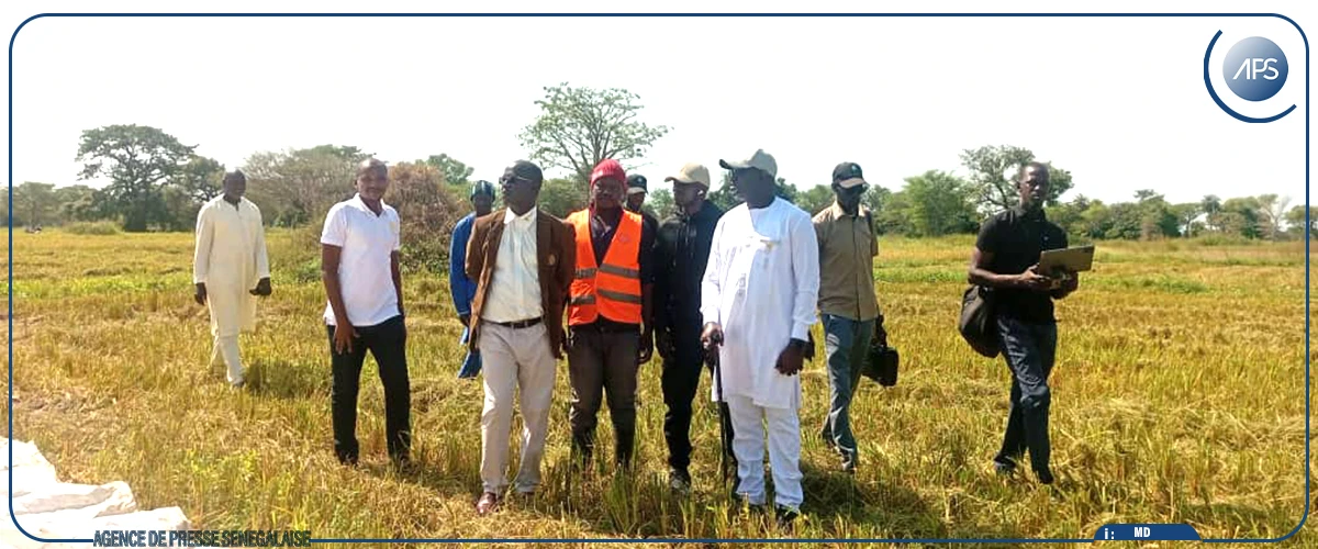 La phase test d'un programme d'introduction de moissonneuses-batteuses lancée dans le Blouf
