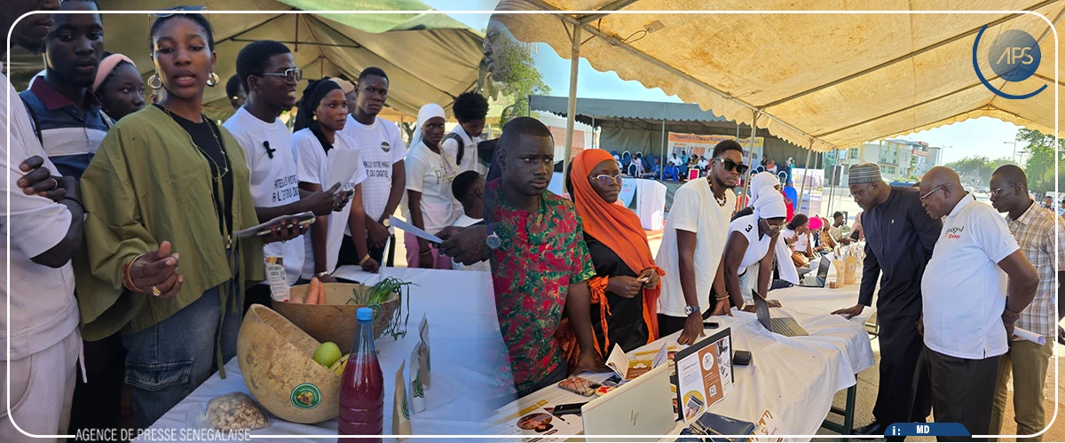 Thiès : le programme Sénégal Digital Show initie 237 jeunes au numérique