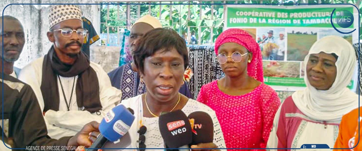 Sédhiou : le fonio, une réponse locale aux défis alimentaires (acteur)