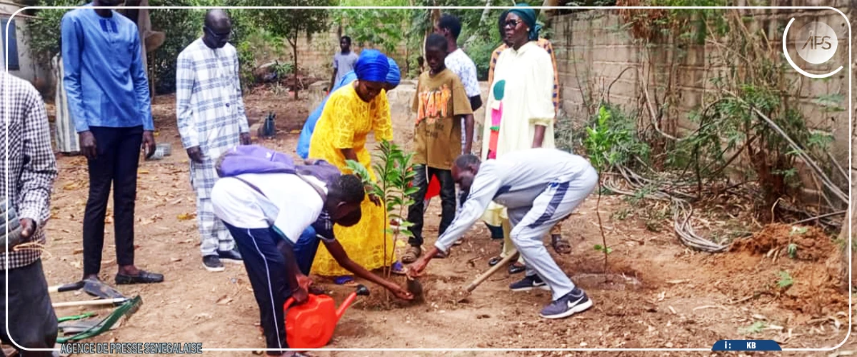 Thiès: 50 jeunes du centre de sauvegarde enrôlés dans uns projet de jardinage citoyen