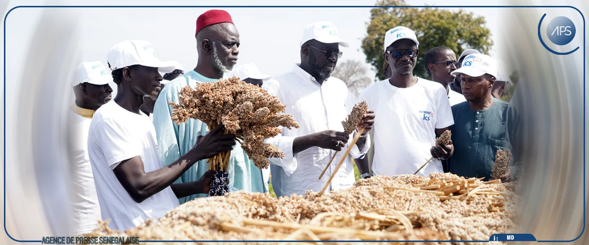 Soutien à l’agriculture : 60 producteurs bénéficient de la phase pilote du programme des ICS (DG)