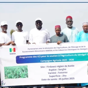 Soutien à l’agriculture : 60 producteurs bénéficient de la phase pilote du programme des ICS (DG)