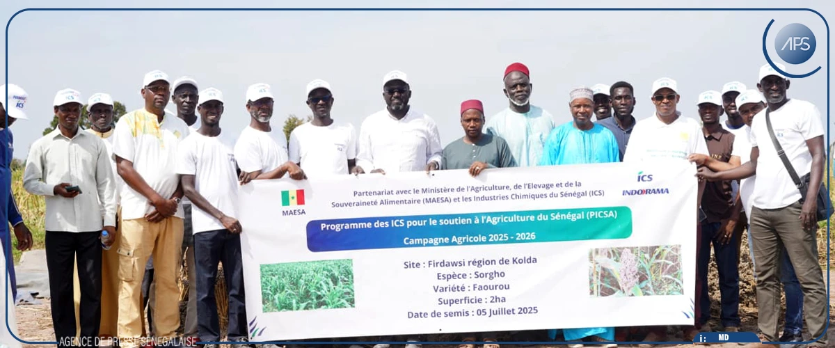 Soutien à l’agriculture : 60 producteurs bénéficient de la phase pilote du programme des ICS (DG)