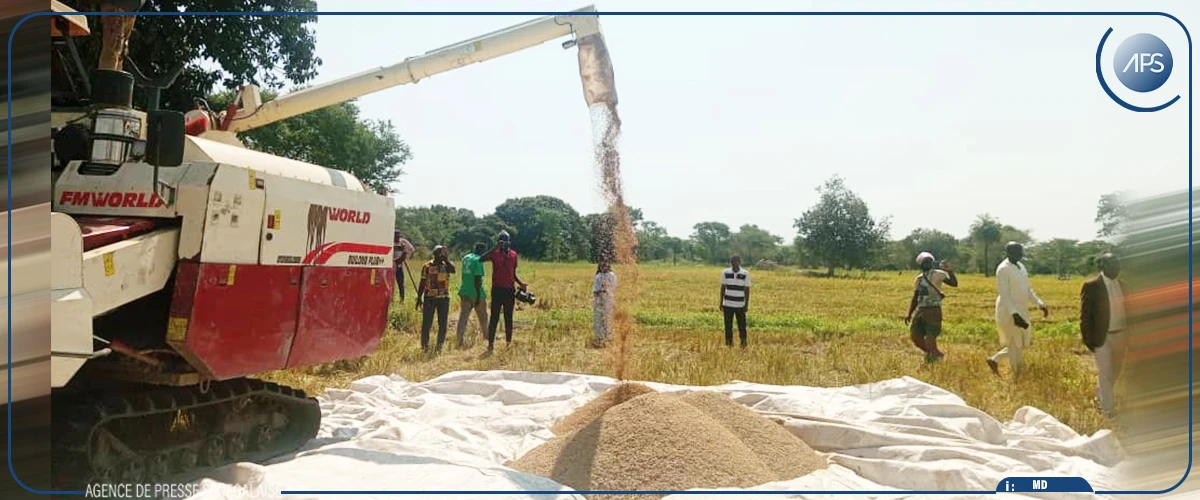 La phase test d’un programme d’introduction de moissonneuses-batteuses lancée dans le Blouf