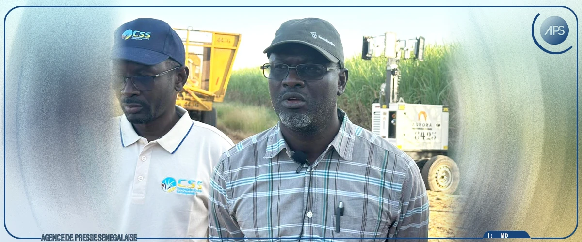 Richard-Toll : la CSS vise une production de 140 000 tonnes de sucre (directeur)