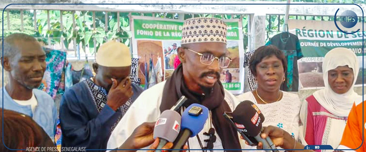 Sédhiou : le fonio, une réponse locale aux défis alimentaires (acteur)