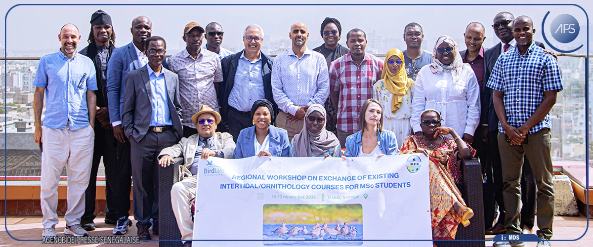 Une baisse des espèces d’oiseaux migrateurs dans plusieurs régions, dont l’Afrique de l’Ouest