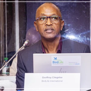 Une baisse des espèces d’oiseaux migrateurs dans plusieurs régions, dont l’Afrique de l’Ouest