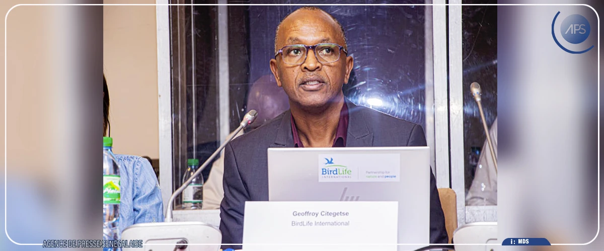 Une baisse des espèces d’oiseaux migrateurs dans plusieurs régions, dont l’Afrique de l’Ouest