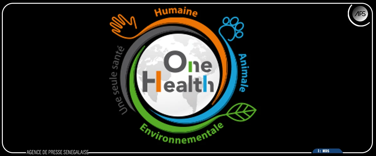 Les zoonoses et les vertus de l’approche “One Health”