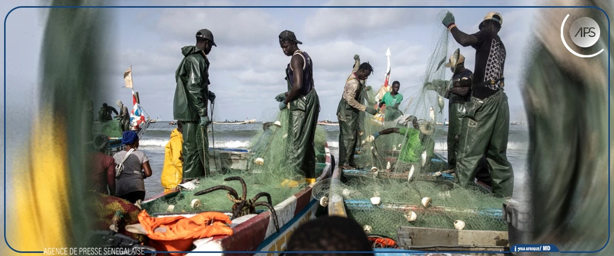 Une confédération d’associations de pêcheurs africains demande à l’UA et à l’UE d’harmoniser leurs politiques d’agriculture et de pêche