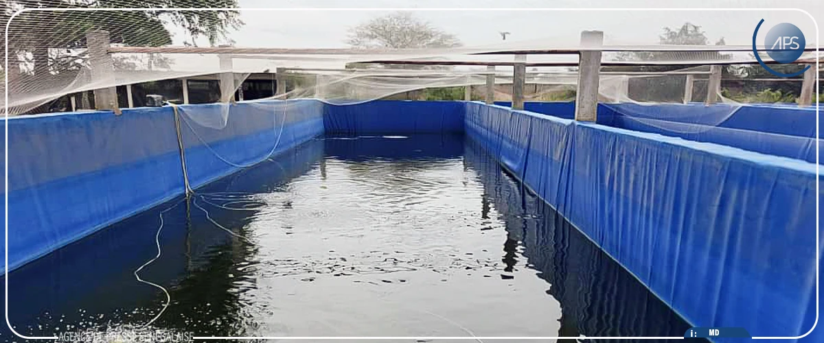 Plaidoyer pour la construction d'une station piscicole dans la région de Kaffrine