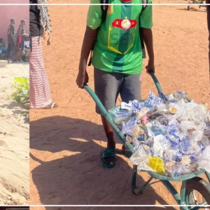 Kaffrine : 250 arbres plantés au lycée de Diamaguène travaux publics