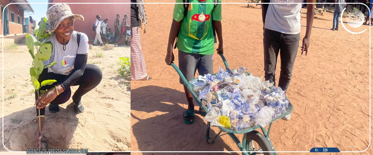 Kaffrine : 250 arbres plantés au lycée de Diamaguène travaux publics