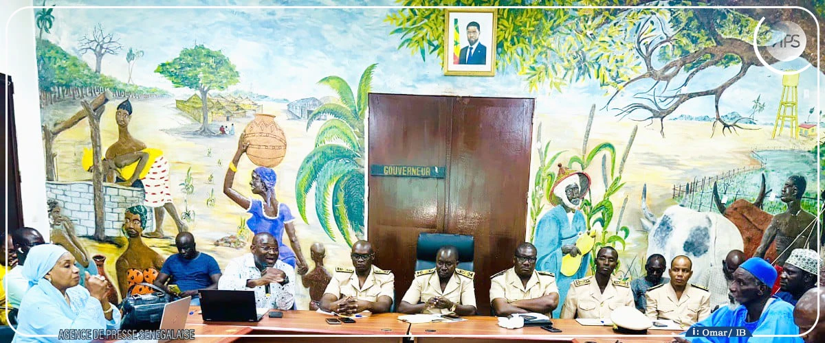 FVR : le DRS de Diourbel appelle à la destruction des gîtes larvaires de moustiques