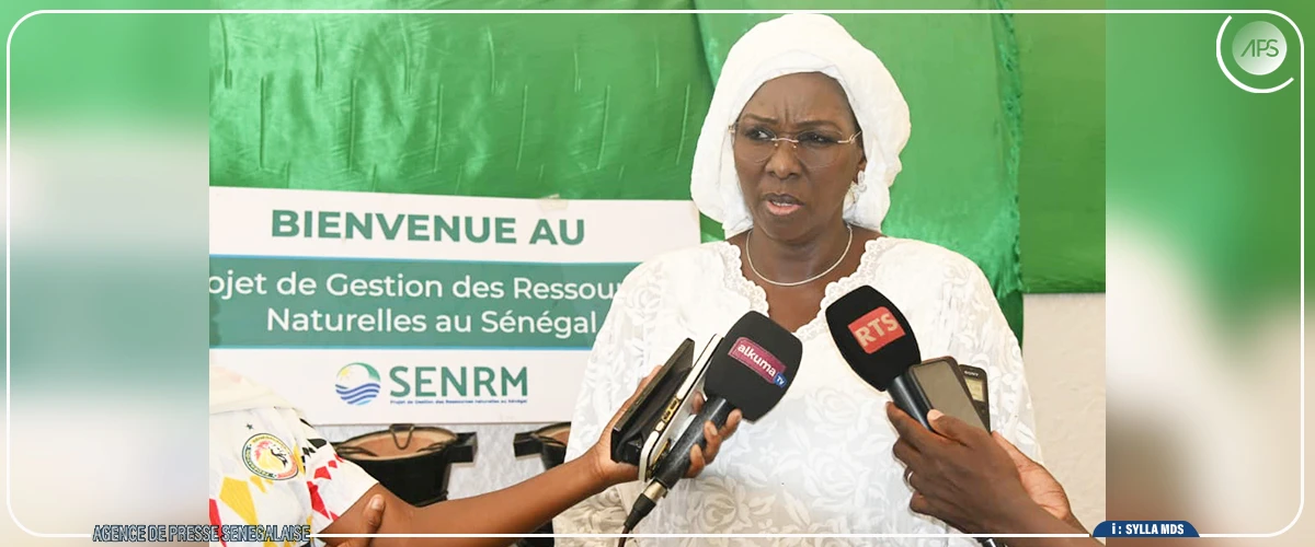 Un projet table sur 250.000 foyers améliorés pour réduire la pression sur les forêts