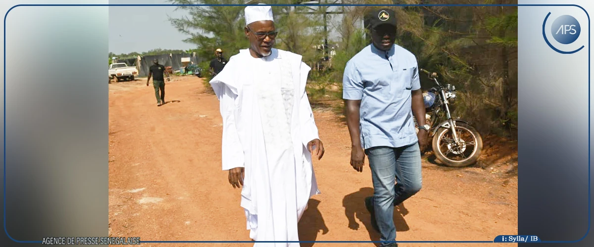 Tambacounda : les producteurs de bananes tirent un bilan satisfaisant du gel des importations