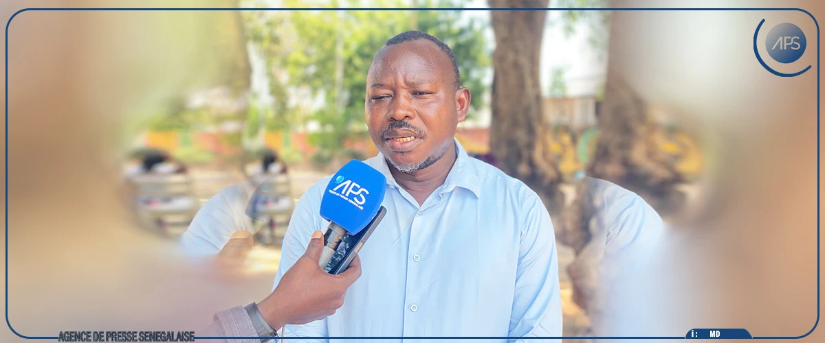 Ziguinchor : les producteurs dans l'attente de productions records, en attendant le défi de la commercialisation