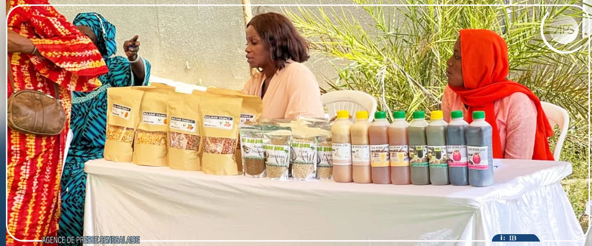 Transformation de produits locaux : plus de 1 000 femmes formées par une coopérative de Kaffrine depuis 2018