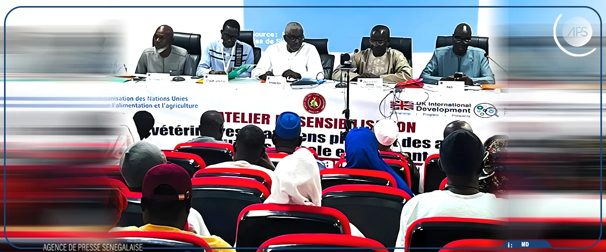 La fièvre de la vallée du Rift ‘’est dans sa phase descendante’’ (vétérinaire)