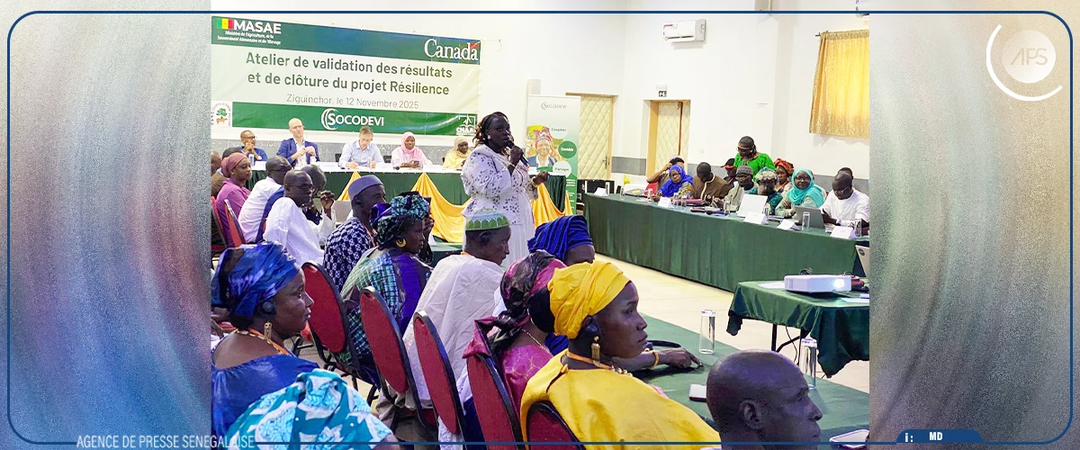 Casamance : le projet “Résilience” enregistre des résultats ”au-delà des attentes”
