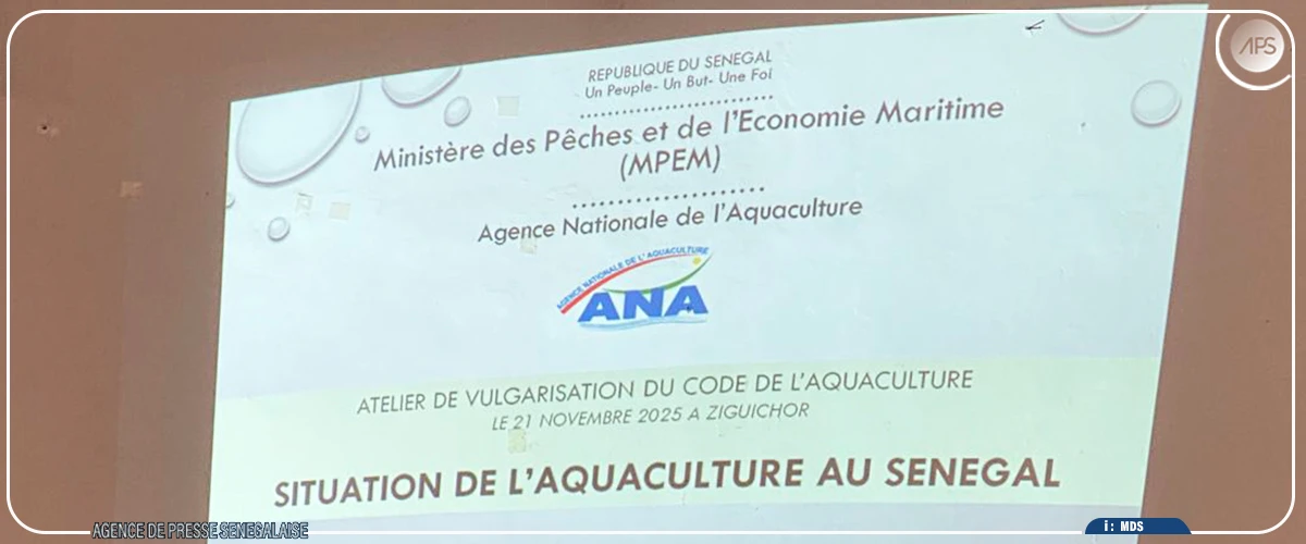 Ziguinchor : des acteurs aquacoles sensibilisés sur le futur Code de l'aquaculture