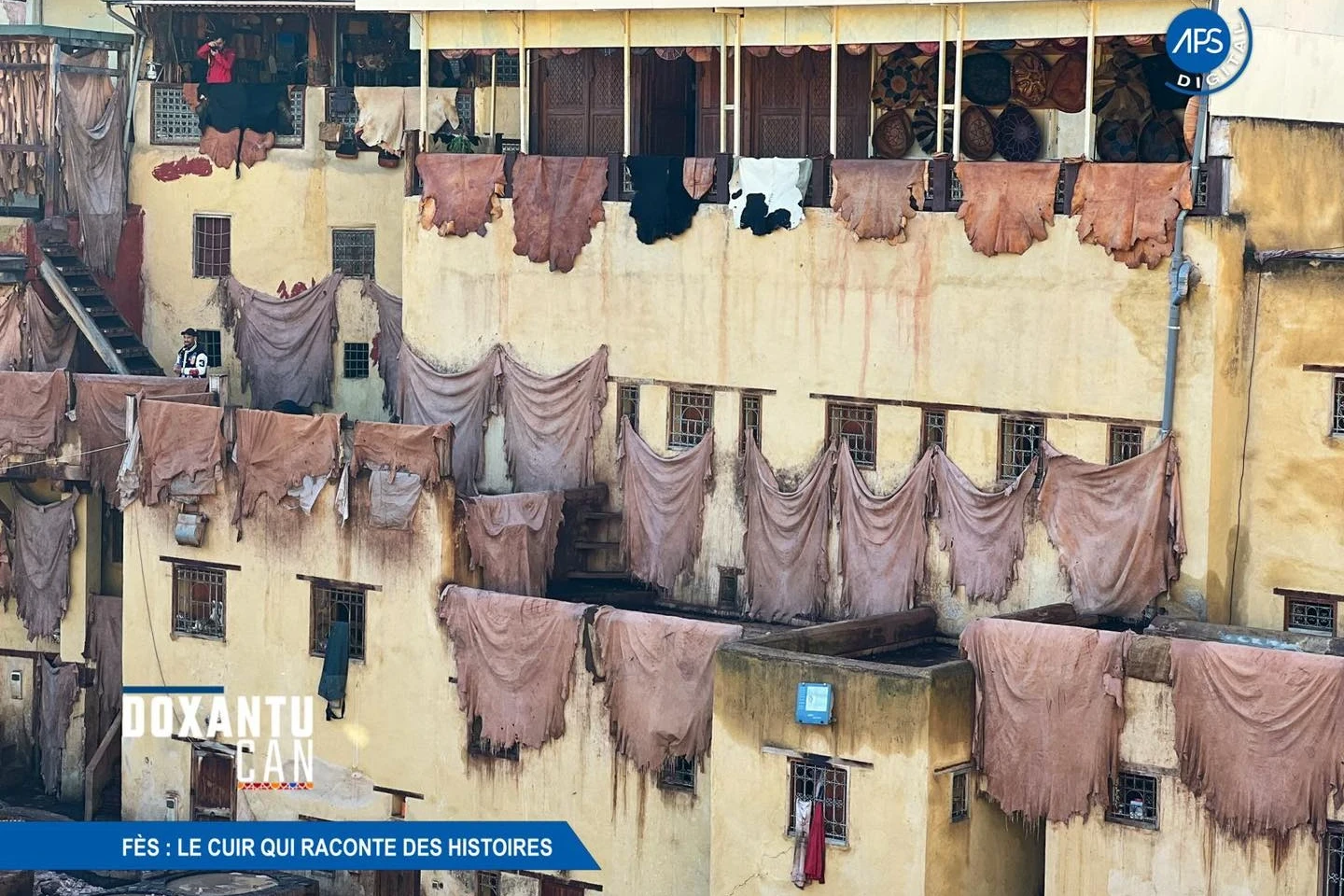 Fès : Le cuir qui raconte des histoires