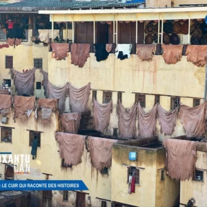Fès : Le cuir qui raconte des histoires