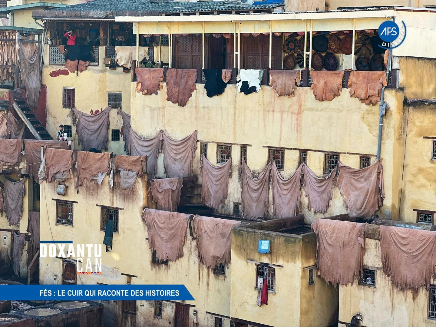 Fès : Le cuir qui raconte des histoires
