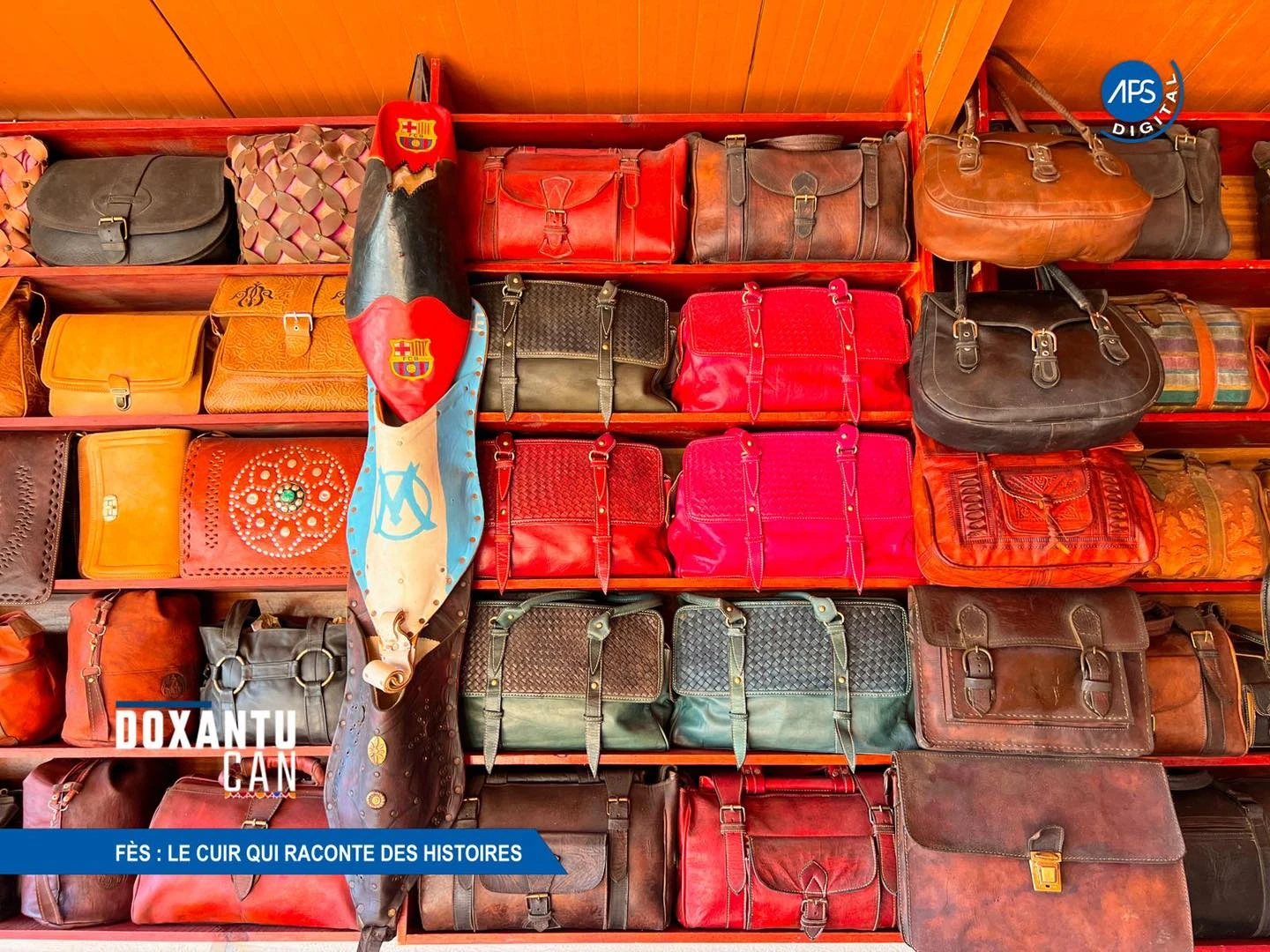 Fès : Le cuir qui raconte des histoires
